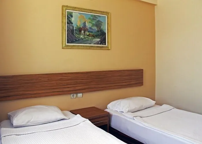 Voxx In Family Club 5*